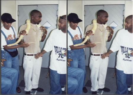 dima 2pac